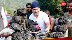 Lok Sabha Election 2024: Rahul Gandhi To Return To Amethi? What Will Happen