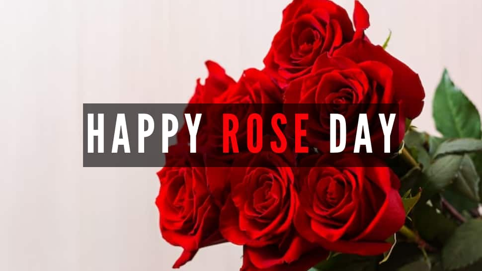 Rose Day 2024: Blooming History, Significance And Traditions Of The Day 1 Of Valentine’s Week | Culture News