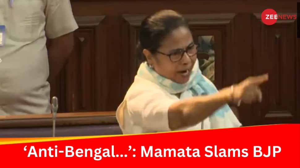 &#039;Not Your Party Office...&#039;: Mamata Slams BJP MLAs For Disrupting Budget Session, Calls Them &#039;Anti-Bengal&#039;