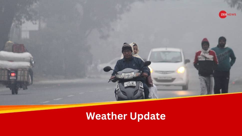 Weather Update: IMD Predicts Thunderstorms, Light Rainfall In Several States Amid Cold Spell