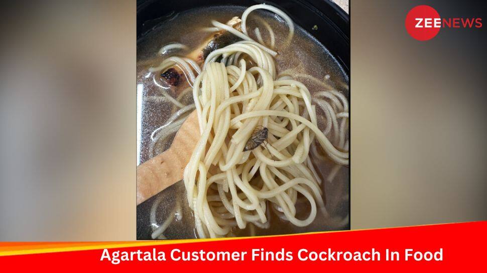 Agartala Customer Finds Cockroach In Chicken Ordered Through Zomato; Company Responds