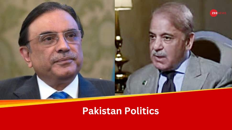  Asif Ali Zardari, Shehbaz Sharif Finalized Terms To Form Government In Pakistan, Claims PML-N Leader