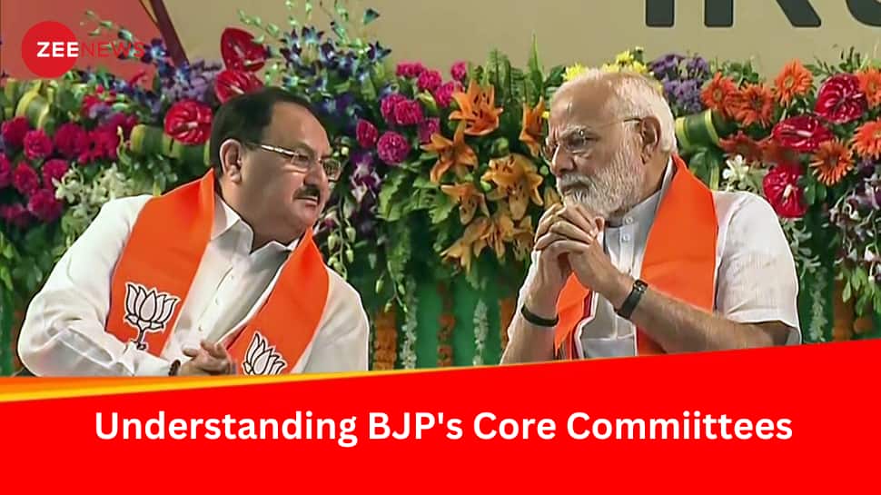 BJP&#039;s National Executive Vs Parliamentary Board: Understanding The Work Culture Of India&#039;s Largest Political Party 