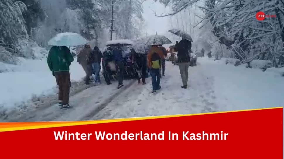 Heavy Snowfall Halts Life In Jammu And Kashmir, Delights Tourists
