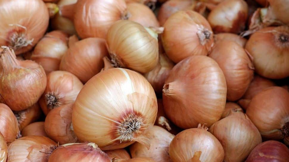 Onion Export Ban To Continue Till Mar 31: Govt 