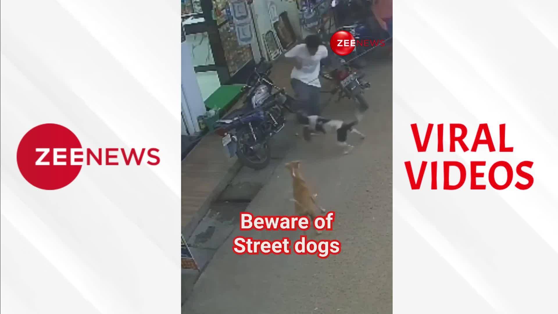 VIRAL VIDEO Woman Courageously Saves Man From Stray Dog Attack(01)