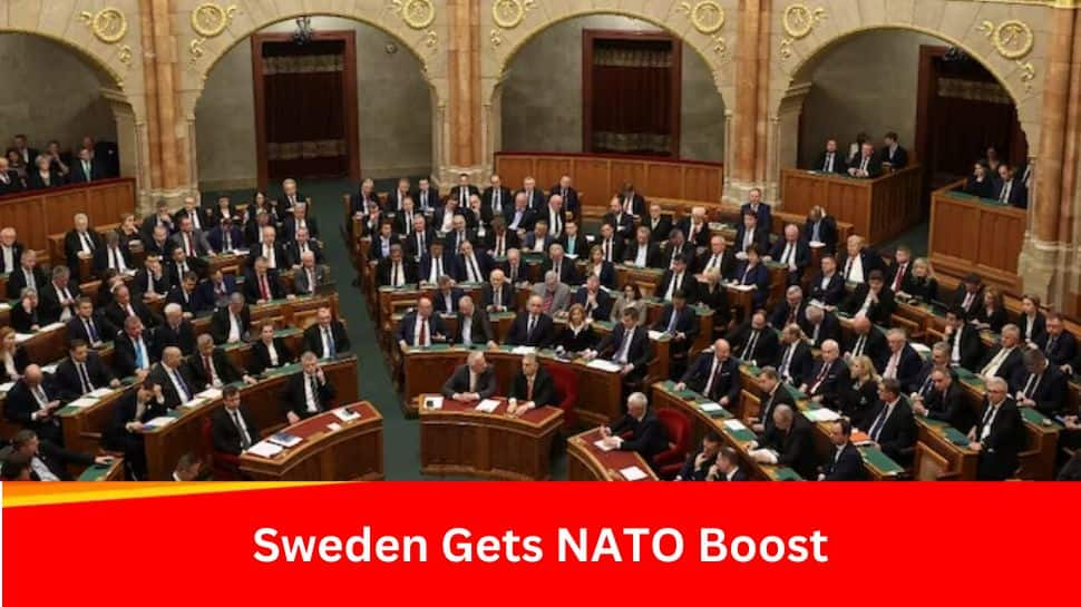 Sweden Set To Join NATO; Check European Country’s Bumpy Road To NATO Membership