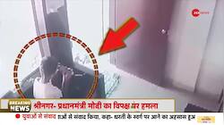 Maharashtra Boy Locks Leopard in Room