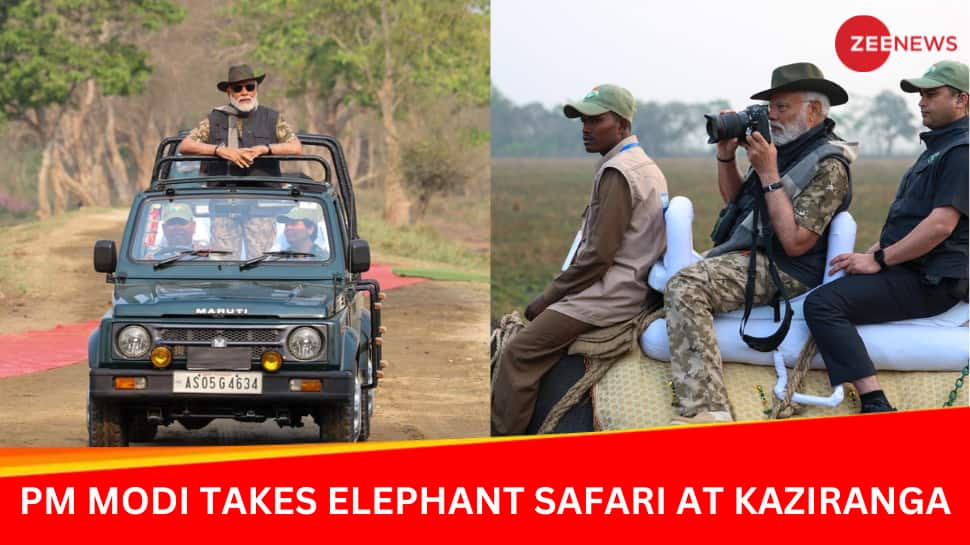 Video: PM Modi Takes Elephant, Jeep Safari In Assam&#039;s Kaziranga National Park