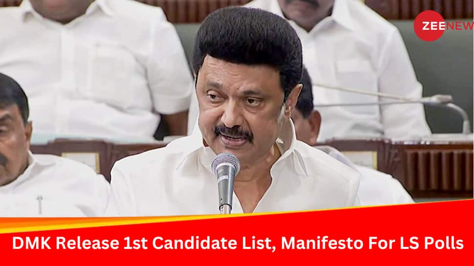 &#039;Will Repeal CAA, Ban NEET In Tamil Nadu...&#039;: DMK Releases 1st List Of Lok Sabha Candidates, Manifesto 