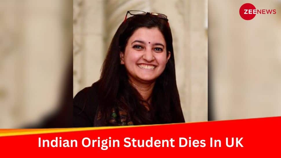 Road Accident Claims Life of Indian Origin Student, Ex-Niti Aayog Employee In UK: Who Was She?