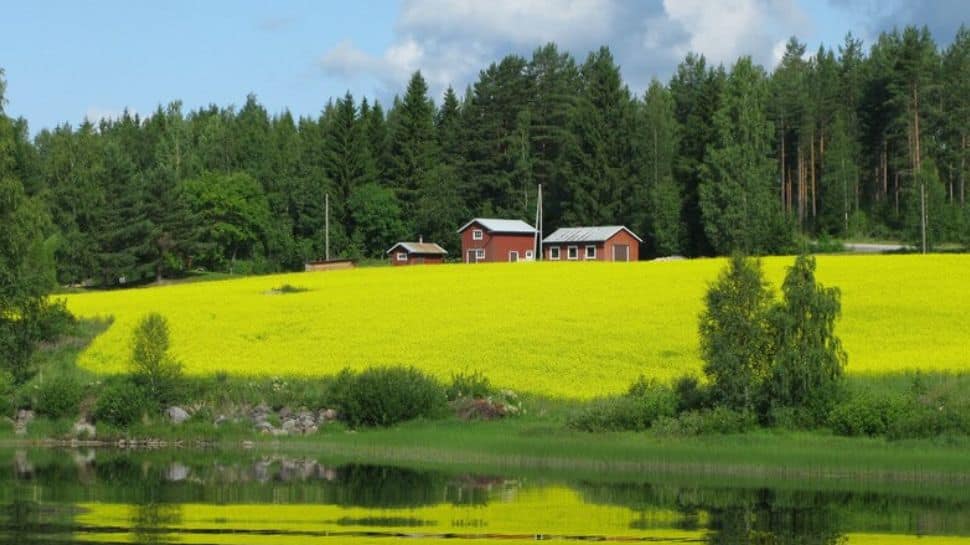 Why You Should Travel To World&#039;s &#039;Happiest&#039; Nation, Finland -  4 Points