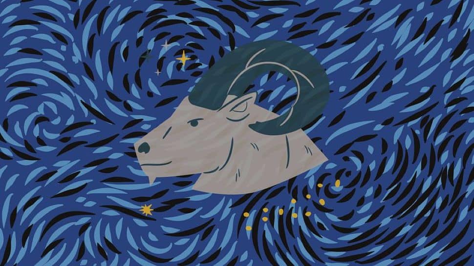 Capricorn Capricorn