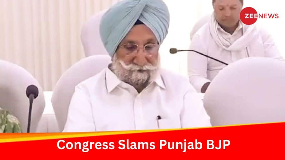 LS Polls: BJP Unable To Discover Personal Celebration Males To Discipline Them From Punjab, Says Sukhjinder Randhawa