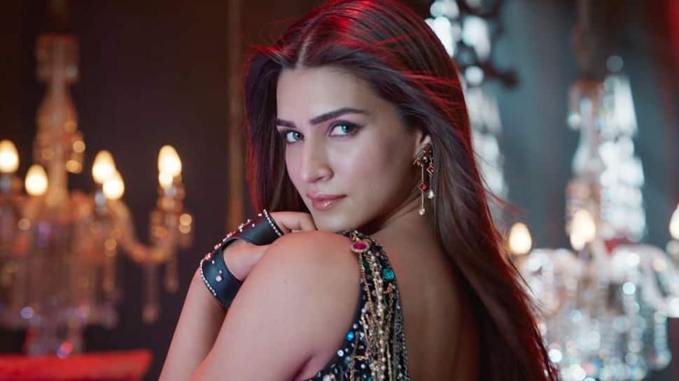 Kriti Sanon Shines In 2024; Hard Work Pays Off And How- Read On 