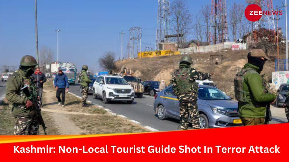 Kashmir: Non-Local Tourist Guide Shot In Terrorist Attack In Shopian