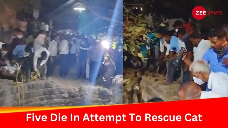 Maharashtra&#039;s Tragedy: Five Die In Attempt To Rescue Cat From Abandoned Well