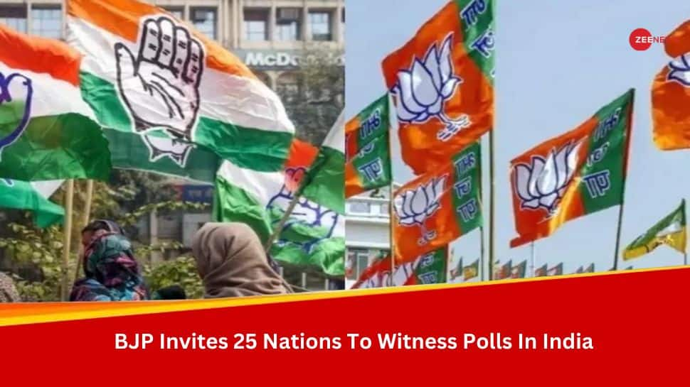 BJP Invites 25 Nations To Observe Campaigning And Polls In India: 10 Points