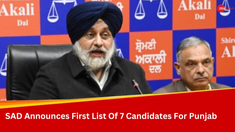 Lok Sabha Elections 2024: Akali Dal Releases First List, Names 7 Candidates Including Daljeet Singh Cheema From Gurdaspur