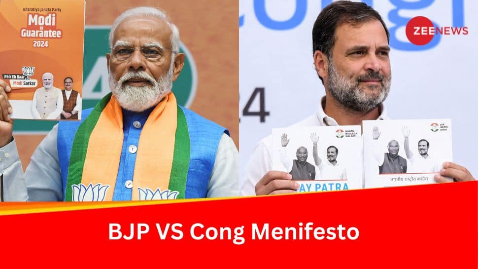 Lok Sabha Election 2024: What BJP And Congress Manifestos Promise For Women And Farmers