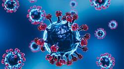 'Lungs Of Young Adults More Susceptible To Covid-19 Causing SARS-CoV-2 Virus'