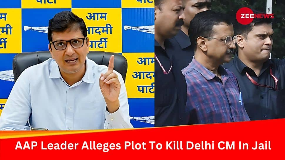 AAP Alleges Conspiracy To Kill Delhi CM Arvind Kejriwal In Jail, Stages Protest Outside Tihar