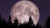 Pink Moon In April 2024