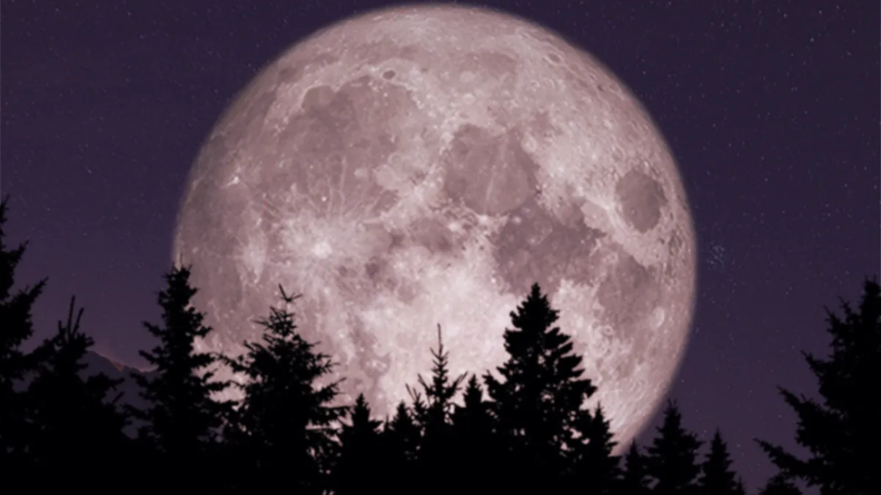 Pink Moon In April 2024