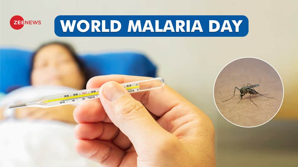 World Malaria Day 2024: Uncomplicated vs Severe Malaria – All You Need To Know About Symptoms And Treatment