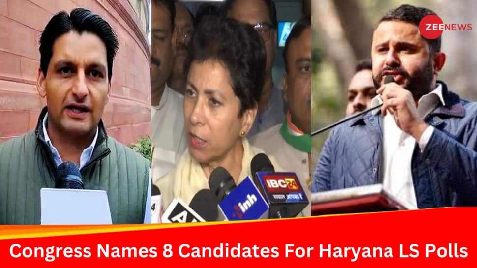 Congress Announces Heavyweights For Haryana Lok Sabha Election: Selja Vs Tanwar In Sirsa, Hooda For Rohtak