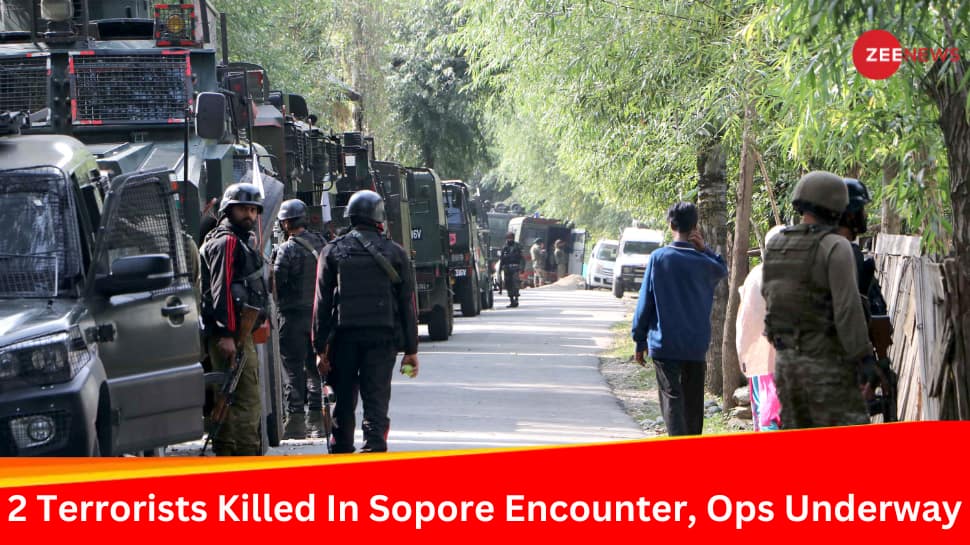 J&K: Security Forces Kill 2 Terrorists In Sopore Encounter; Operation Underway