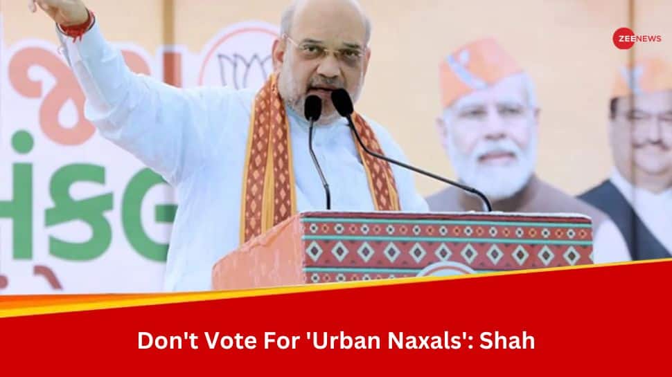 Congress, AAP Are Liars, Dont Vote For Urban Naxals: Amit Shah In Bharuch Rally