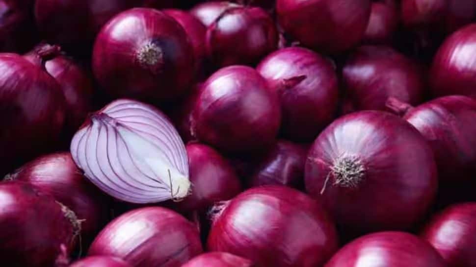 Government Permits Export Of 99,150 Metric Tonnes Of Onions To 6 Countries