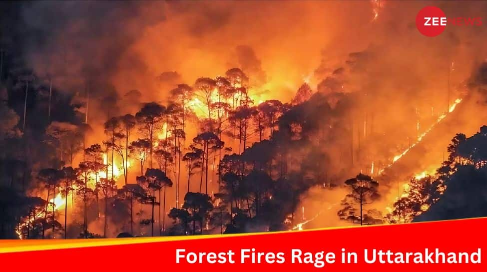 Uttarakhand&#039;s Worst Nightmare: Forest Fires Rage As April Records Driest Weather In Half A Decade