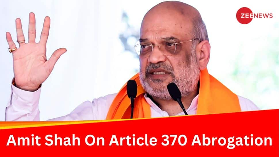 ‘Nobody Has Guts To Pelt Stones...’: Amit Shah Refutes Rahul Gandhi&#039;s Prediction On Kashmir Post Article 370 Abrogation