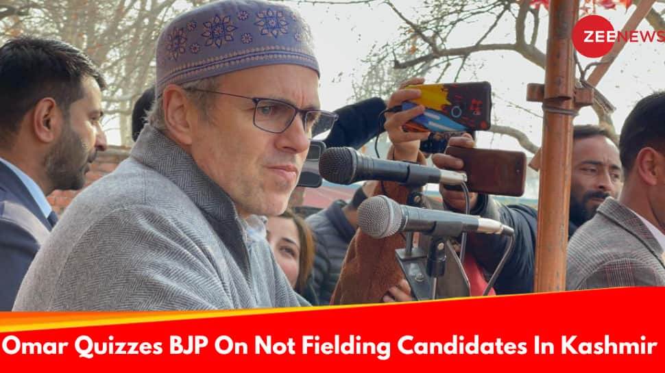 Lok Sabha Elections 2024: Omar Questions BJPs Developental Claims In Kashmir As It Fields No Candidates
