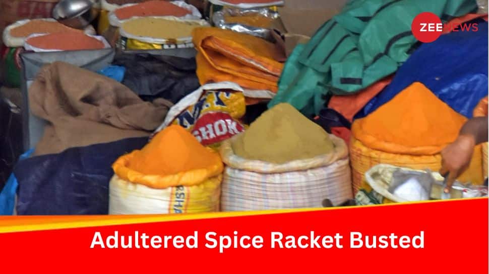 Spices In Your Kitchen May Not Be What You Think; Delhi Police Busts Massive Masala Racket