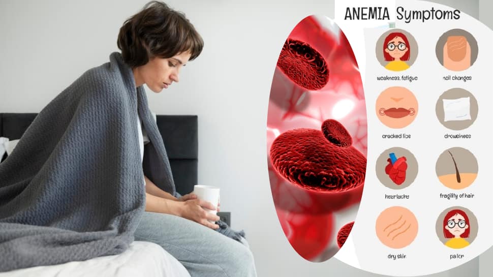 Women Reproductive Health: What Is Anemia? Understand Types, Challenges, Diagnosis, Implications And Management