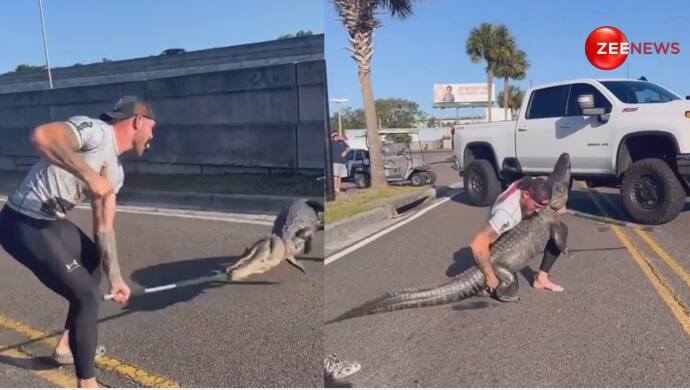 Viral Video: Man Catches Alligators Barehanded To Protect Public Safety ...