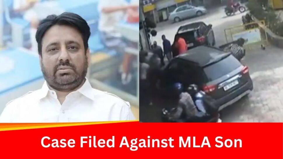 Delhi AAP MLA Amanatullahs Son Physically Assaults Petrol Pump Staff In Noida; Case Registered