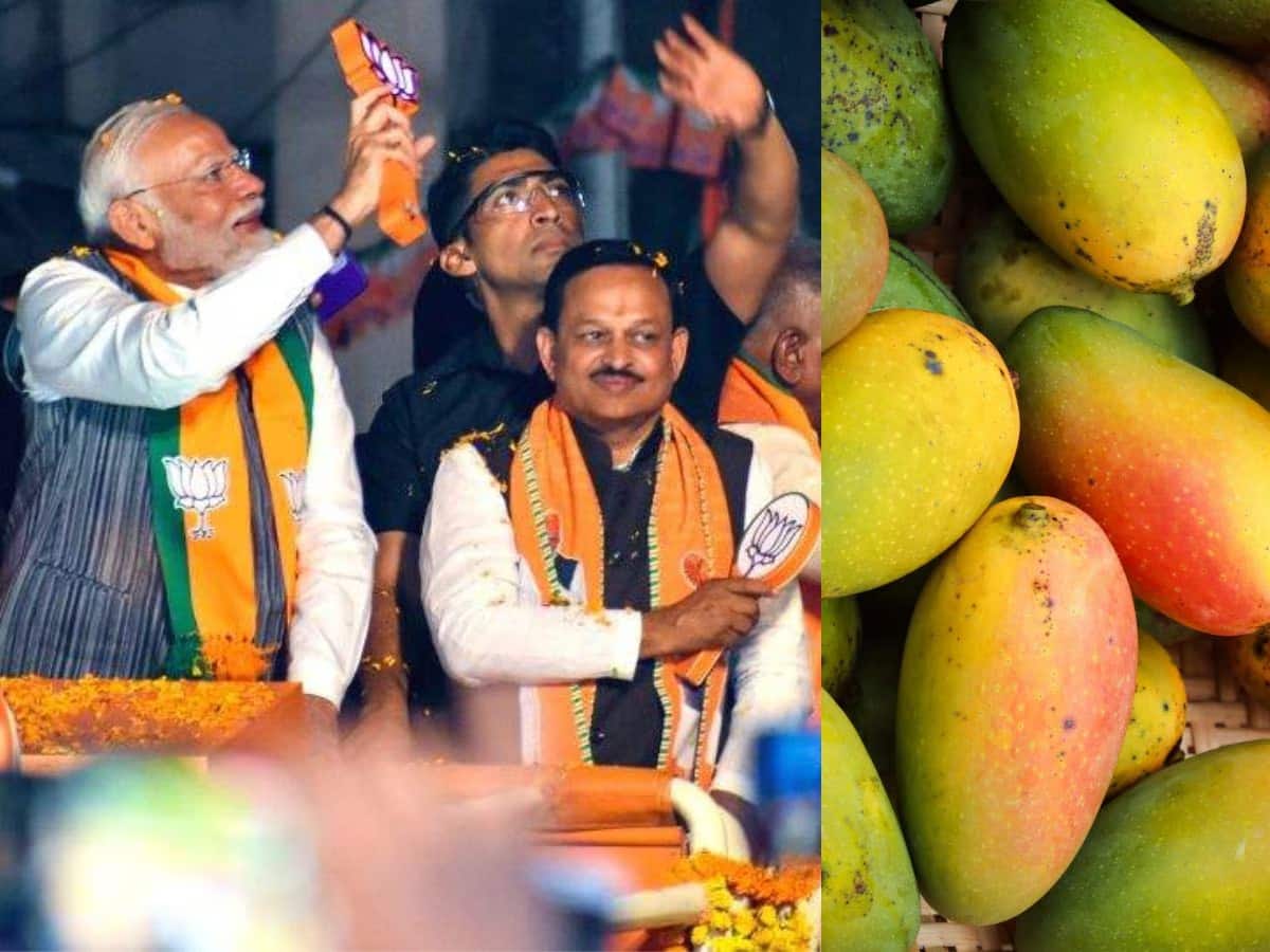 From Aam to Khaas: Kanpurs Ramesh Awasthi Gets Lok Sabha Ticket and PM Modis Blessing