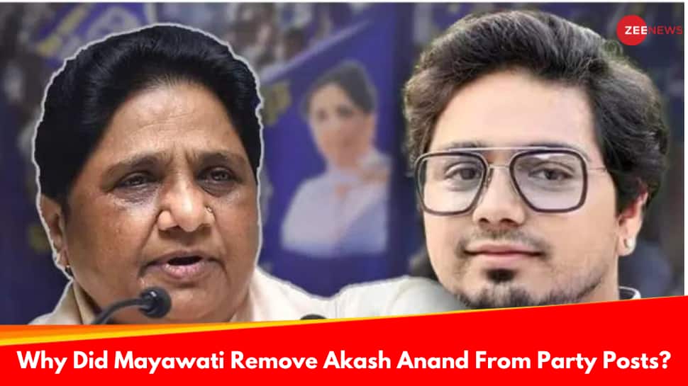 Why Did Mayawati Remove Nephew Akash Anand From Party Posts, Her Successor?