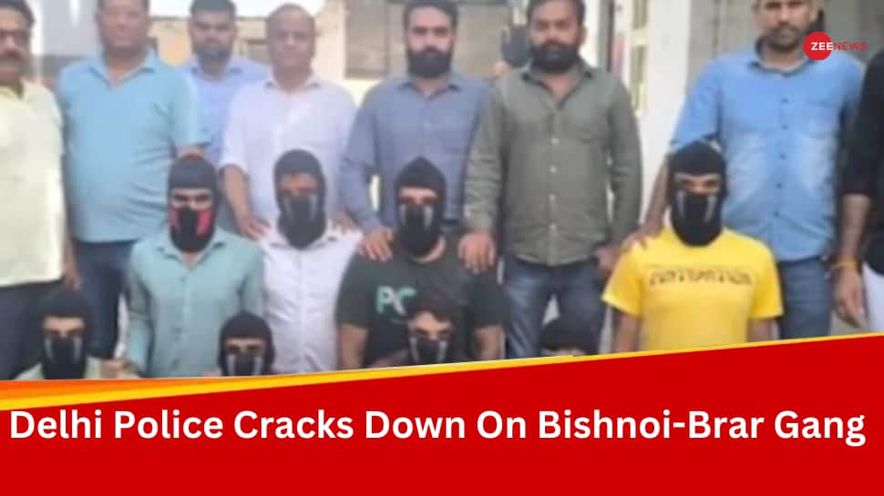 Delhi Police Cracks Down On Lawrence Bishnoi-Goldy Brar Gang, Arrests 10 In Pan-India Ops | India News