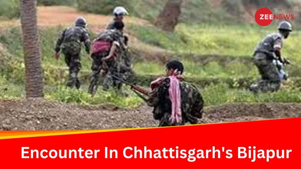 12 Naxalites Killed In Encounter With Security Forces In Chhattisgarh&#039;s Bijapur