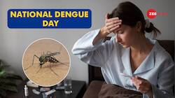 National Dengue Day: Symptoms, Preventions And Steps To Manage Dengue Fever