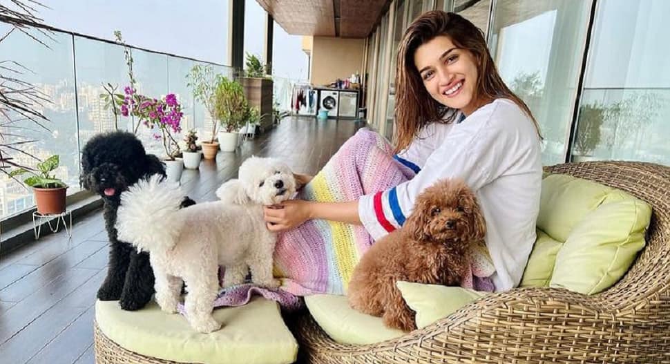 Kriti Sanon and her Pups, Phoebe and Disco