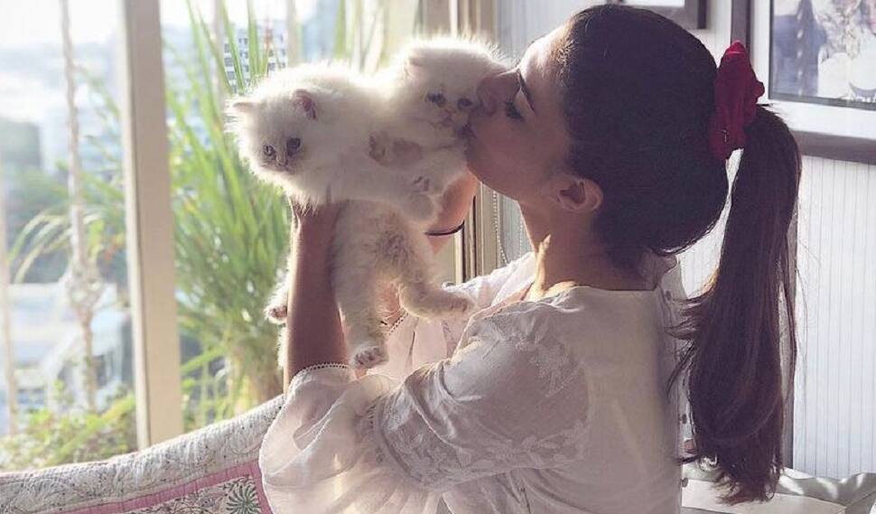 Jacqueline Fernandez and her Quartet of Cats 