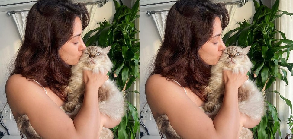 Disha Patani and her Cats, Jasmine and Keety