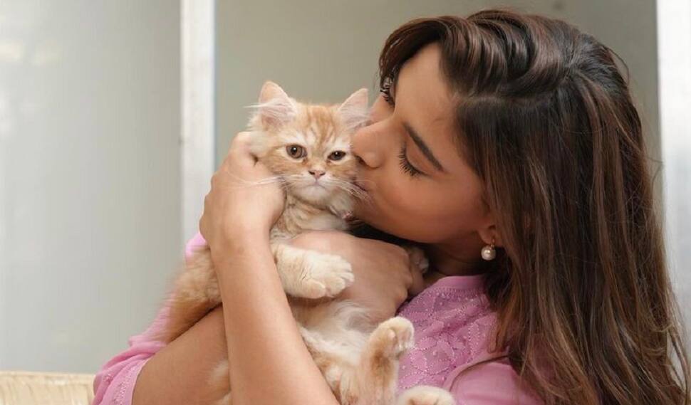 Saiee M Manjrekar and her Two Cats, Ella and Bella