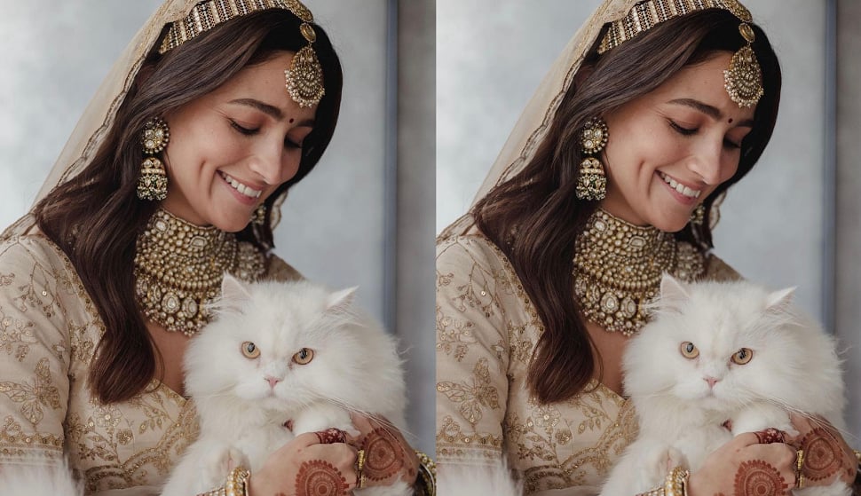 Alia Bhatt and Edward the Cat